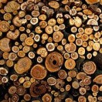 catalog-online-wood-furniture.jpg